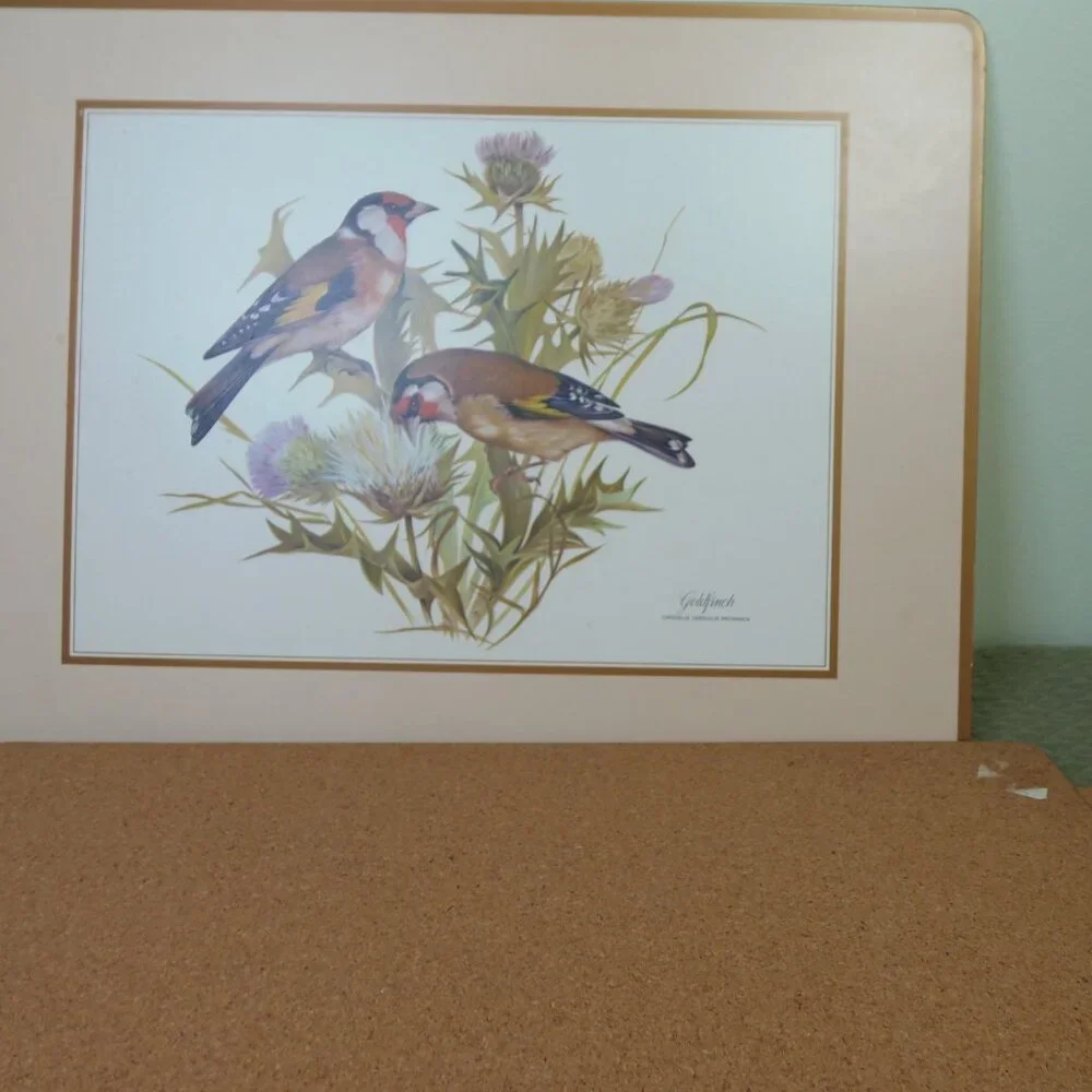 Vintage‎ Placemat Place boards Bird Pictures Set -4 Table Settings Cottage Core